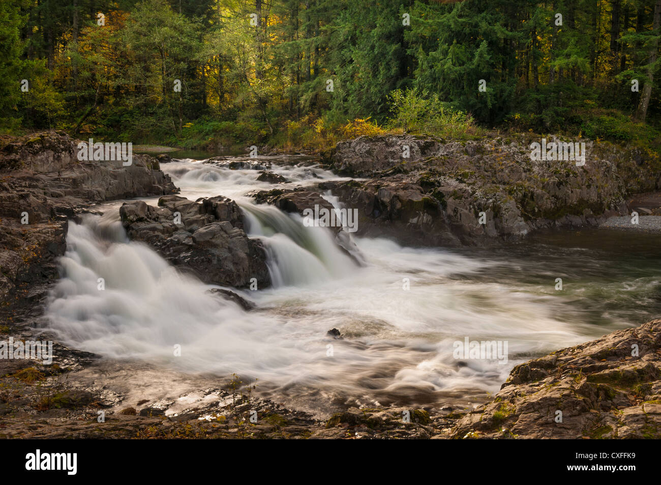 Lucia Falls, East Fork Lewis River, Clark County, Washington Stock