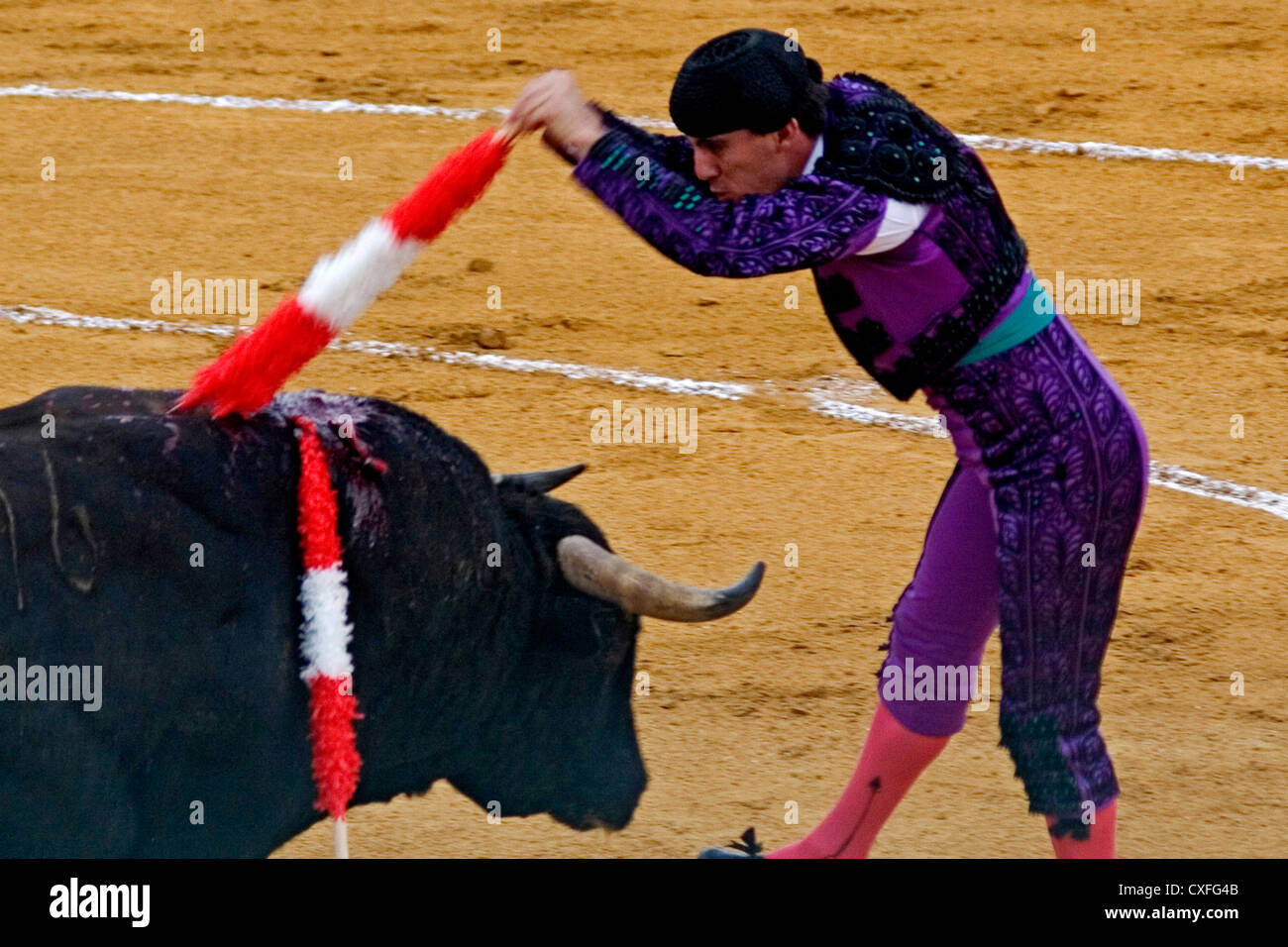 Banderillero Bullring Spain Banderillero Torero Who Stock Photo 3448214