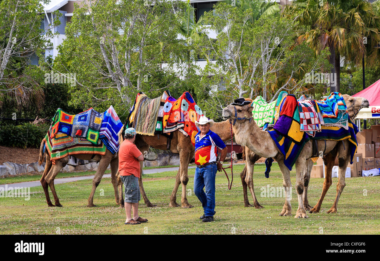 Camel rides available at The tenth annual Gold Coast Pet and Animal