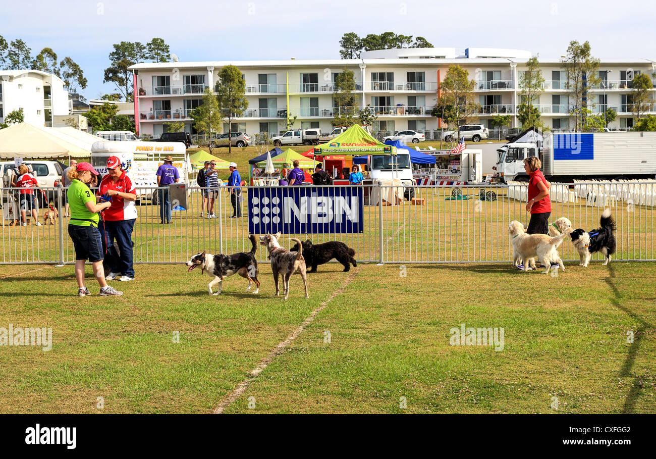 Animal handlers hires stock photography and images Alamy