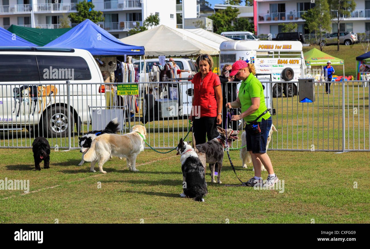 Dogs let of their leash at The tenth annual Gold Coast Pet and Animal expo sponsored by the Gold Coast City Council Stock Photo