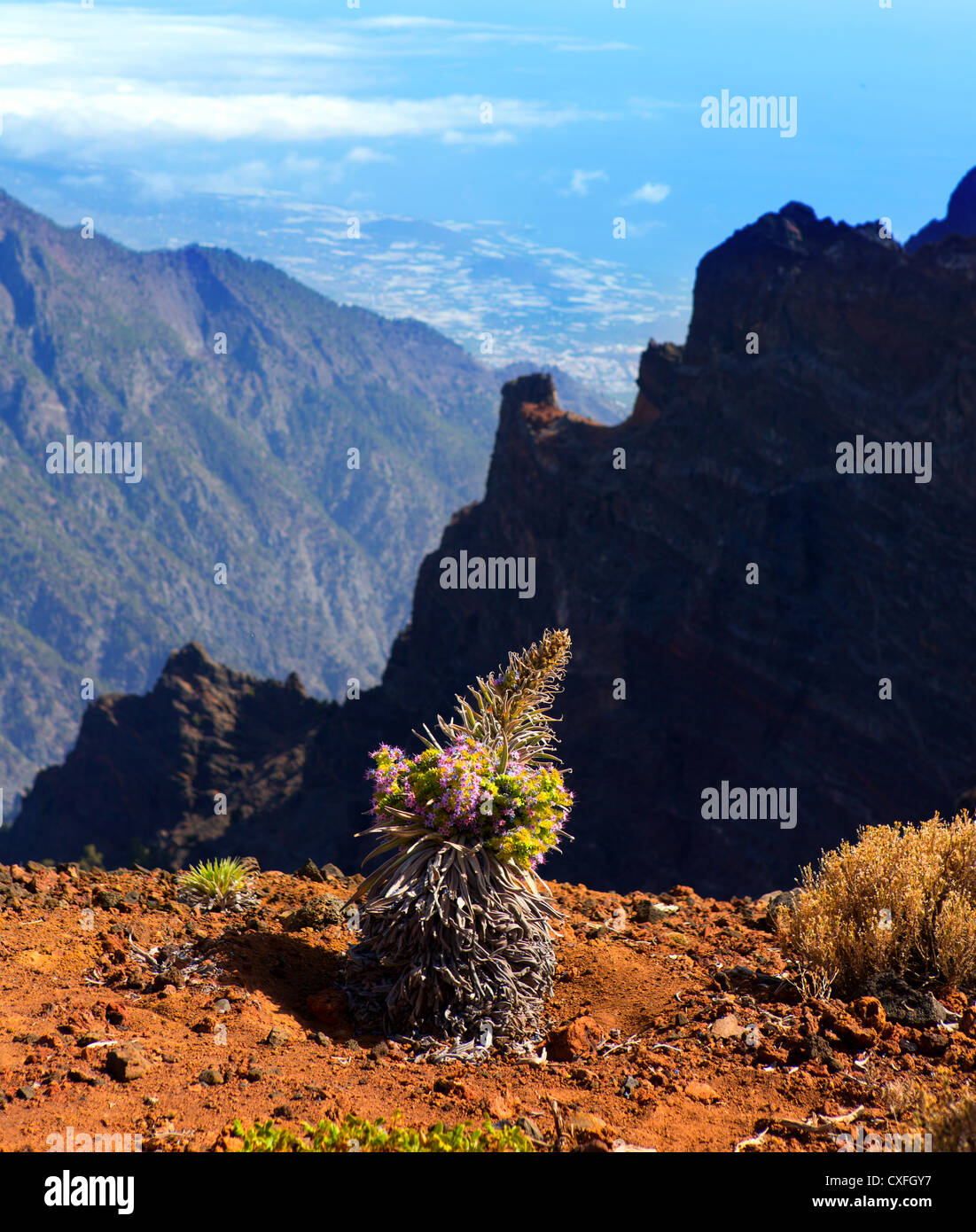 Landscape of Caldera de Taburiente in Roque Muchachos, emphasizing the environment that could contribute to cyclospora transmission through water.