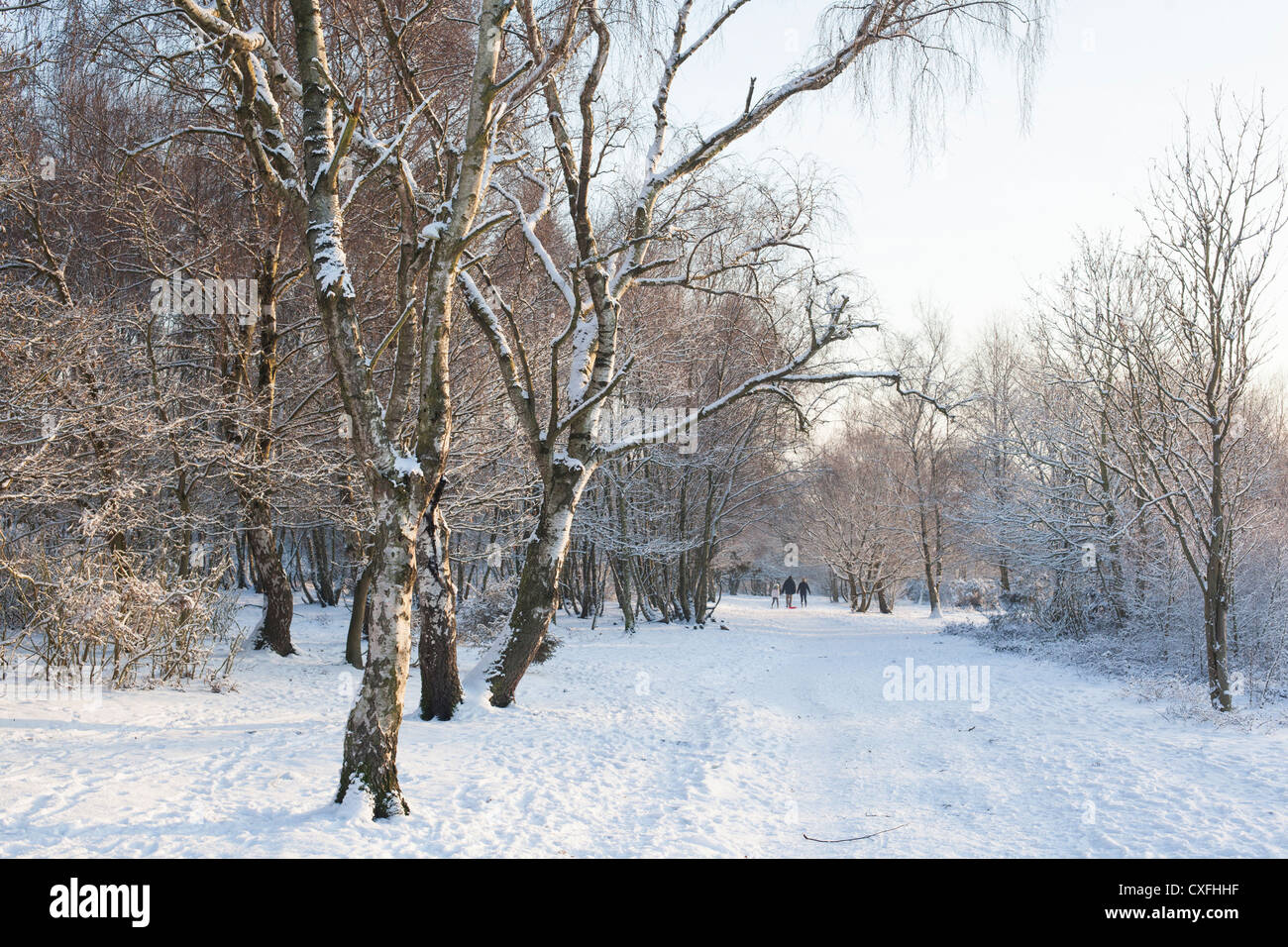 Sutton Coldfield park in snow Stock Photo - Alamy