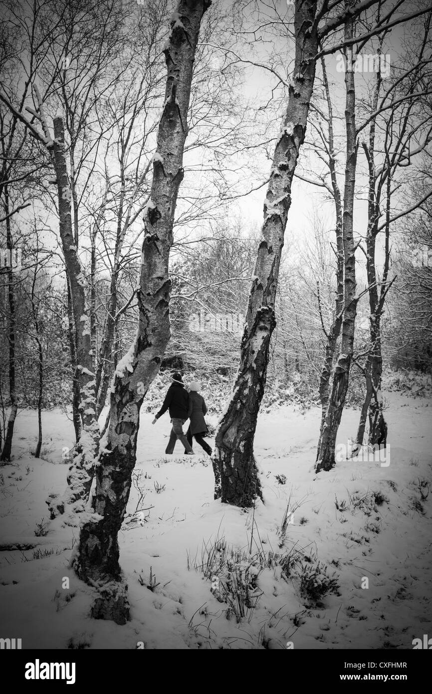 Sutton Coldfield park in snow Stock Photo - Alamy