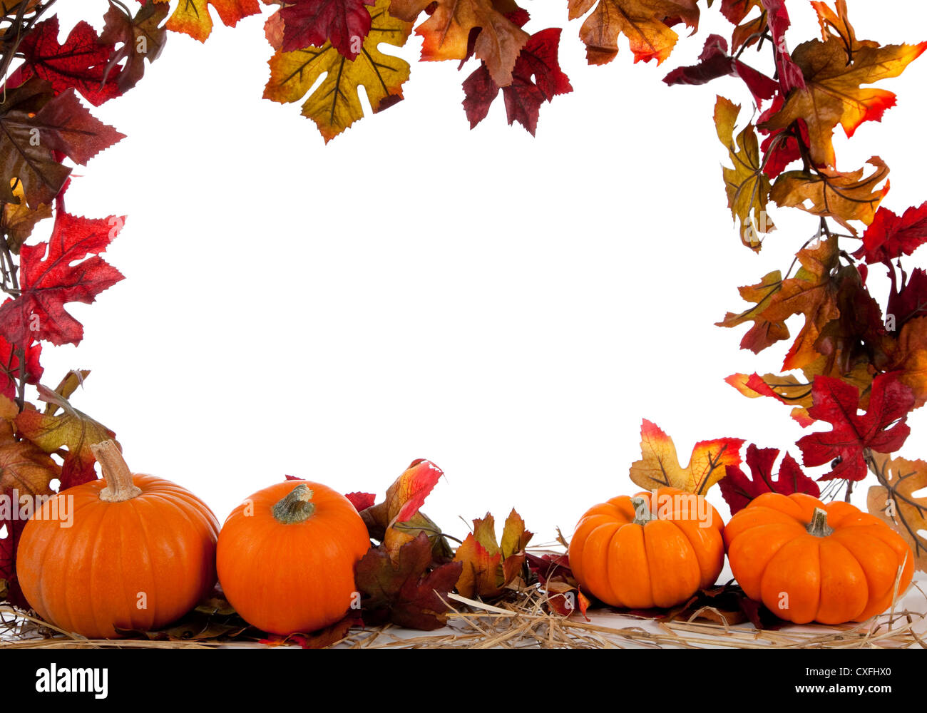 Pumpkin border hi-res stock photography and images - Alamy