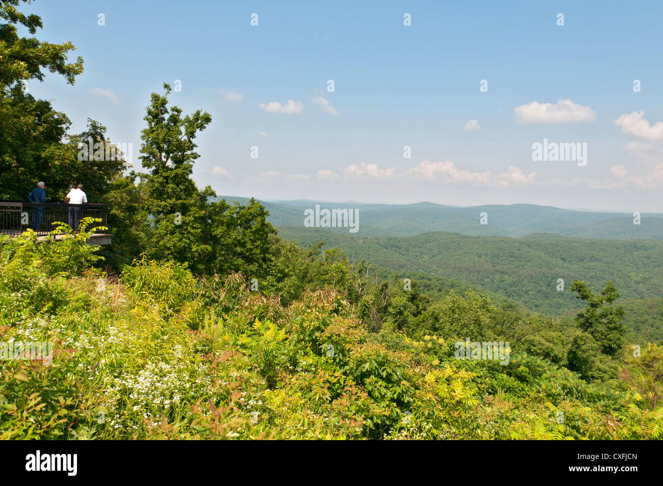 Arkansas, Ozark National Forest, view from State Highway 7. Stock Photo