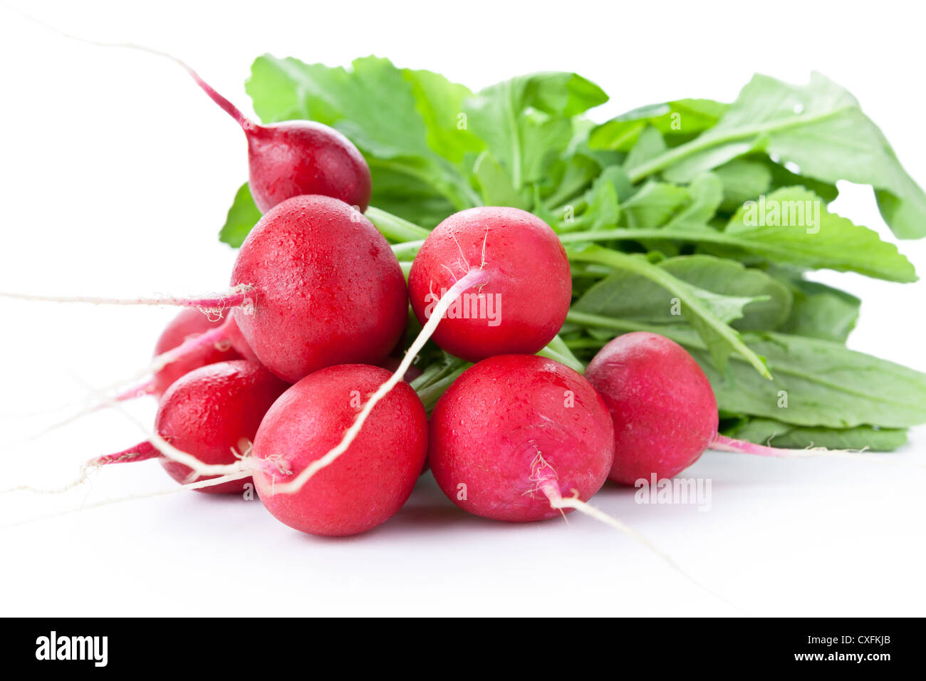 Fresh bunch of radish isolated on white background Stock Photo
