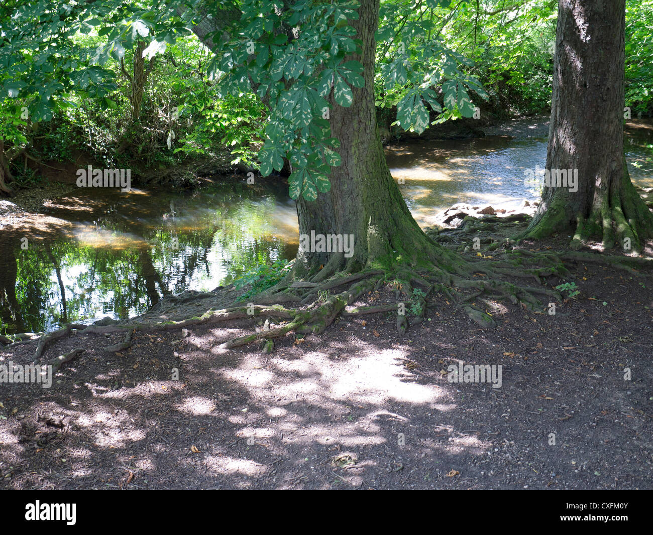 england midlands worcestershire valley of the river arrow redditch Stock Photo