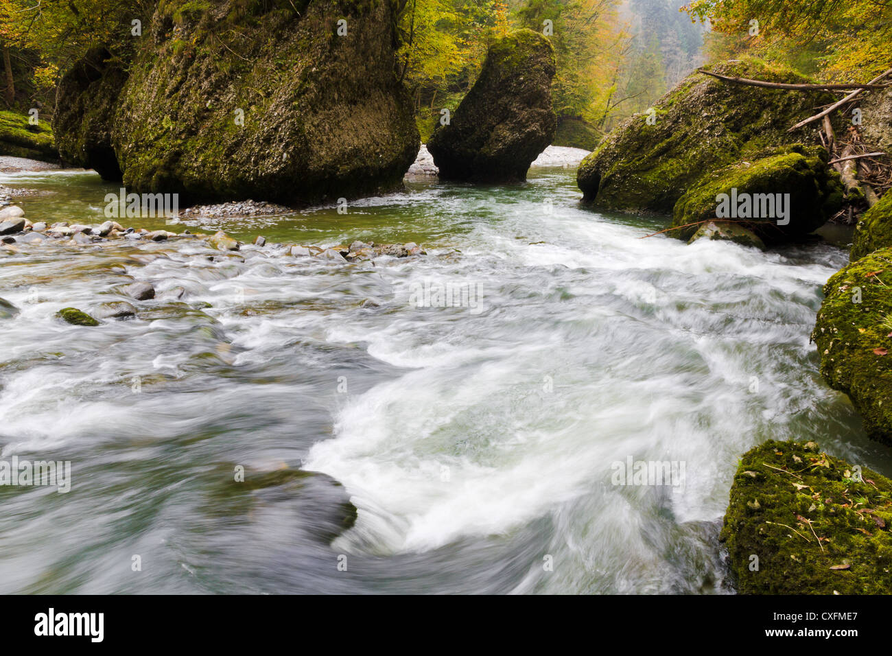 fresh. clean, clear, forest stream splash down over moss covered stones in autumn woods Stock Photo
