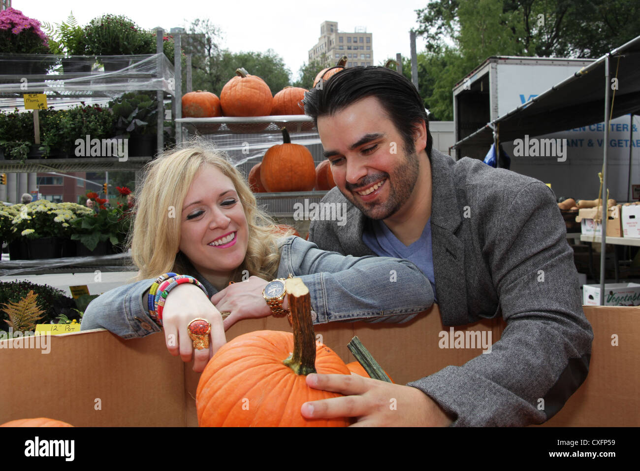 Inspect halloween pumpkins hires stock photography and images Alamy
