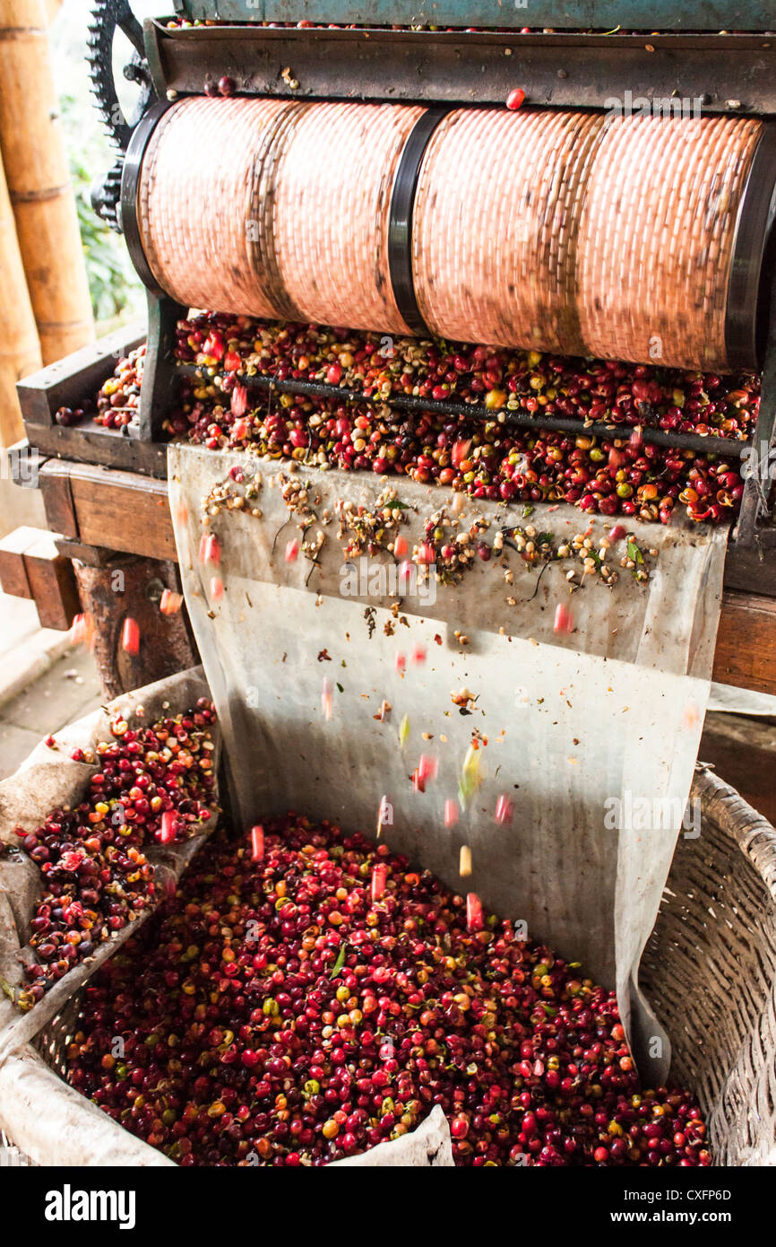 coffee pulper machine, Colombia Stock Photo - Alamy