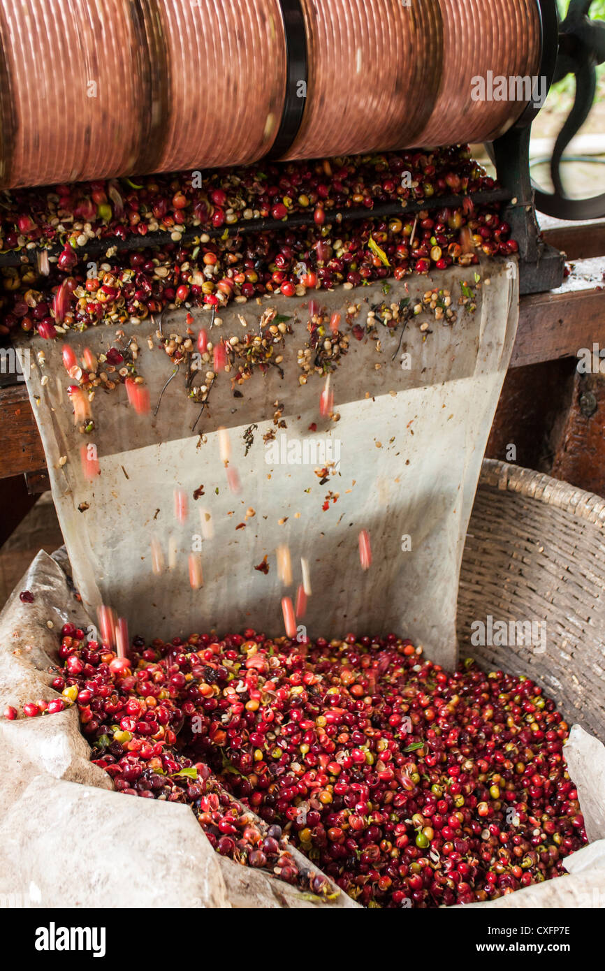 Coffee pulping machine, Colombia Stock Photo Alamy