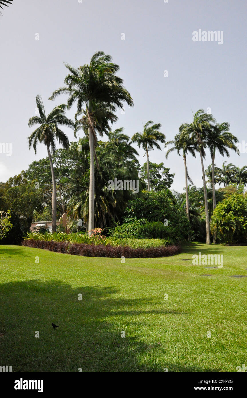 Royal Pavilion Hotel Barbados Tropical Gardens Stock Photo