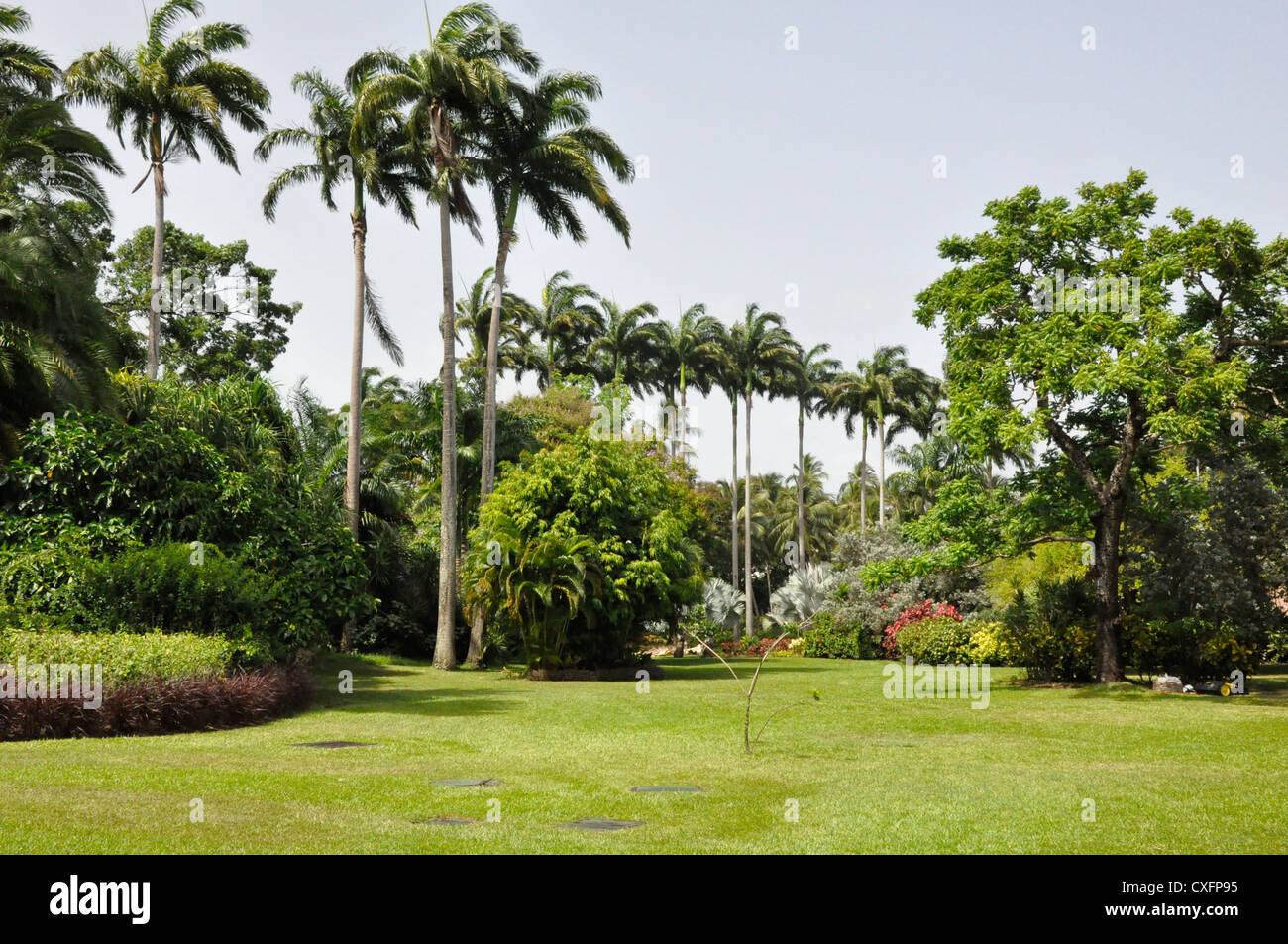 Royal Pavilion Hotel Barbados, gardens ,Tropical Heaven Stock Photo