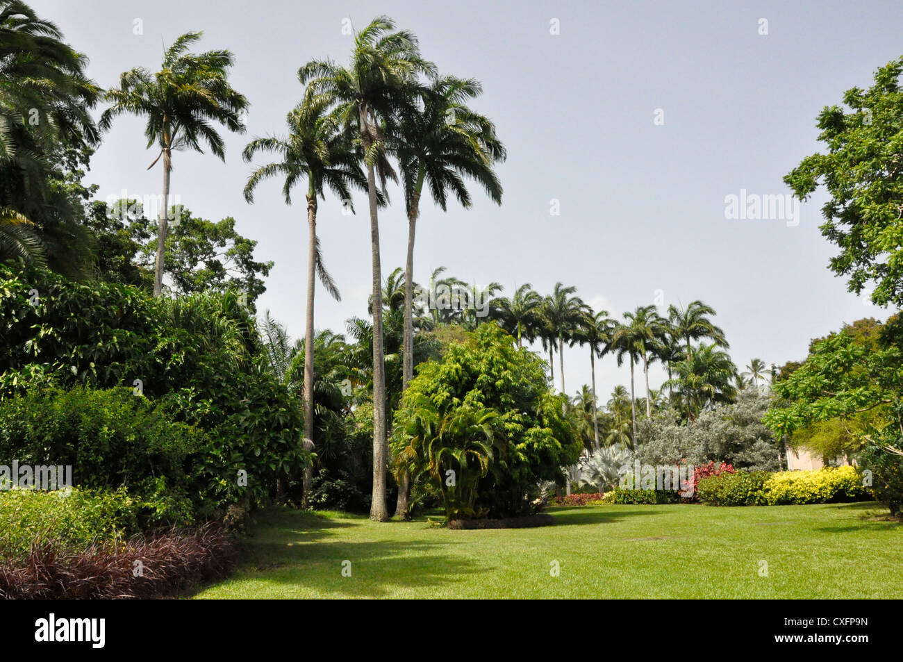 Royal Pavilion Hotel Barbados, gardens ,Tropical Heaven Stock Photo