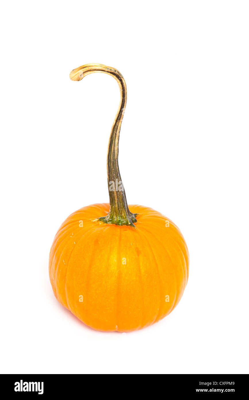 A pumpkin on a white background. Stock Photo
