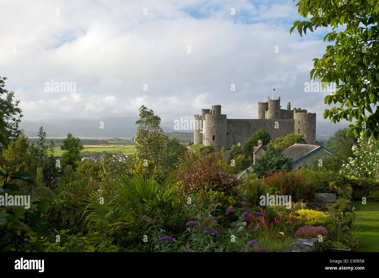 Harlech Castle in summer sunshine, Gwynedd, Wales, UK, United Kingdom, GB, Great Britain, British Isles, Europe Stock Photo