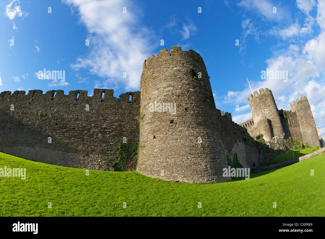 Conwy medieval castle and fortified town walls in summer, Gwynned, North Wales, UK, GB, British Isles, Europe Stock Photo