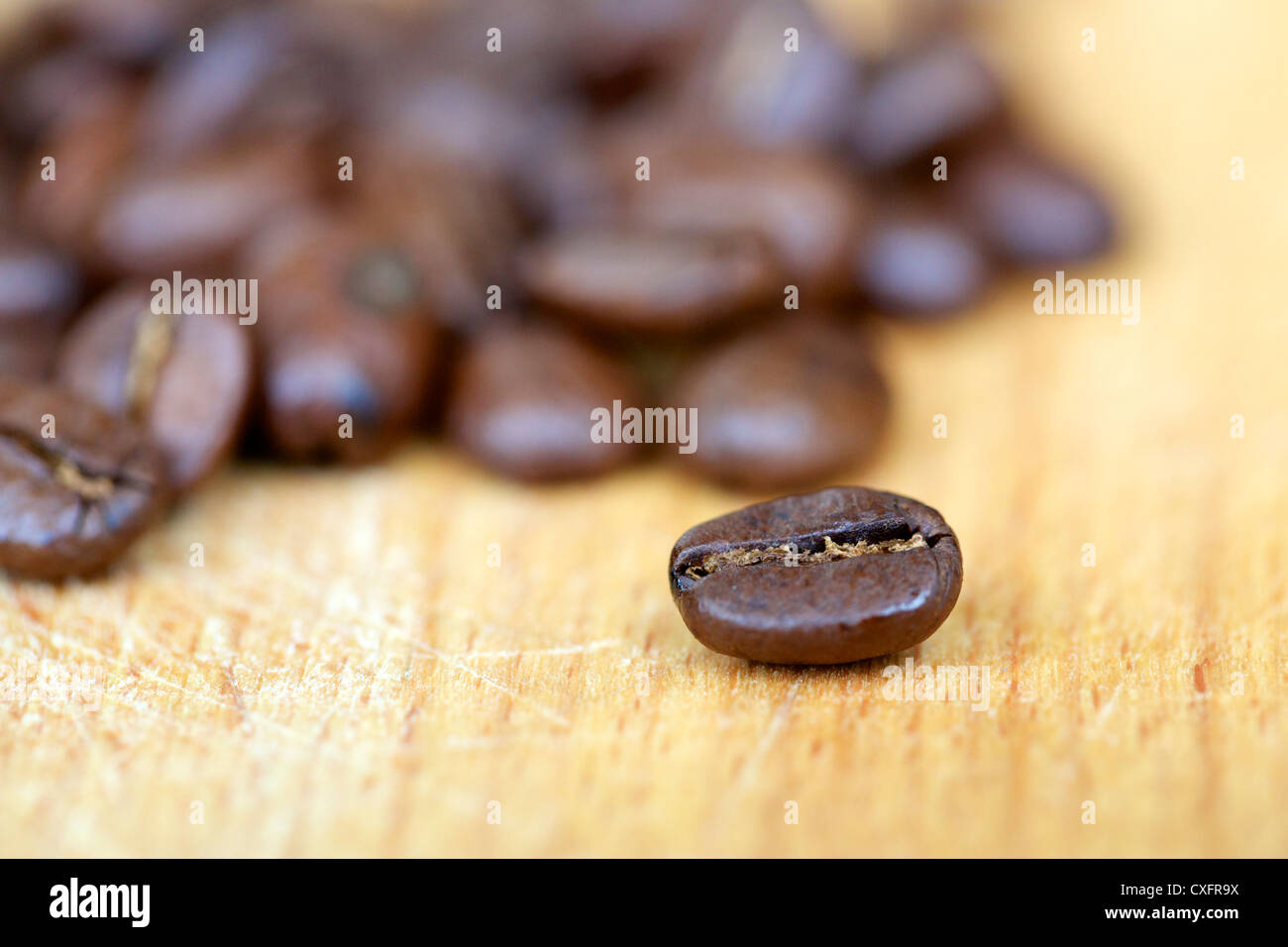 Coffee beans on wooden cutting board. Still life, shallow depth of field. Stock Photo