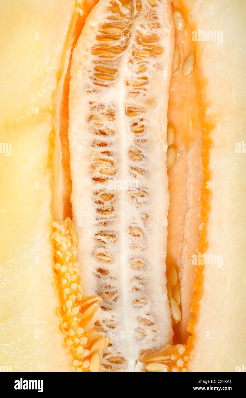 Background of ripe sweet melon Stock Photo Alamy