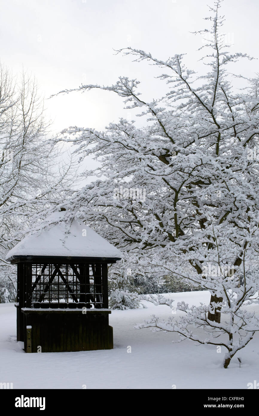 snow in Winterbourne Botanic garden Stock Photo