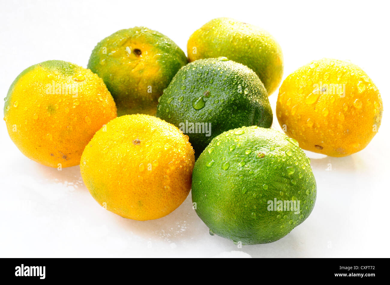 orange juicy fruit citrus food vitamin white organic fresh health ripe
