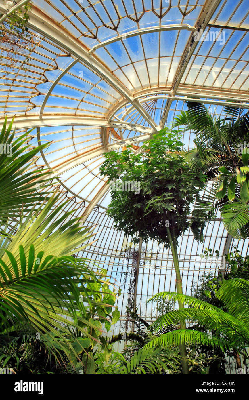 Kew gardens palm house hi-res stock photography and images - Alamy