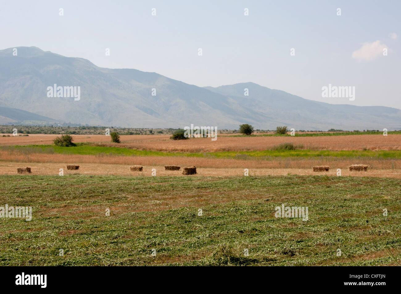 Farmland of Albania Stock Photo Alamy