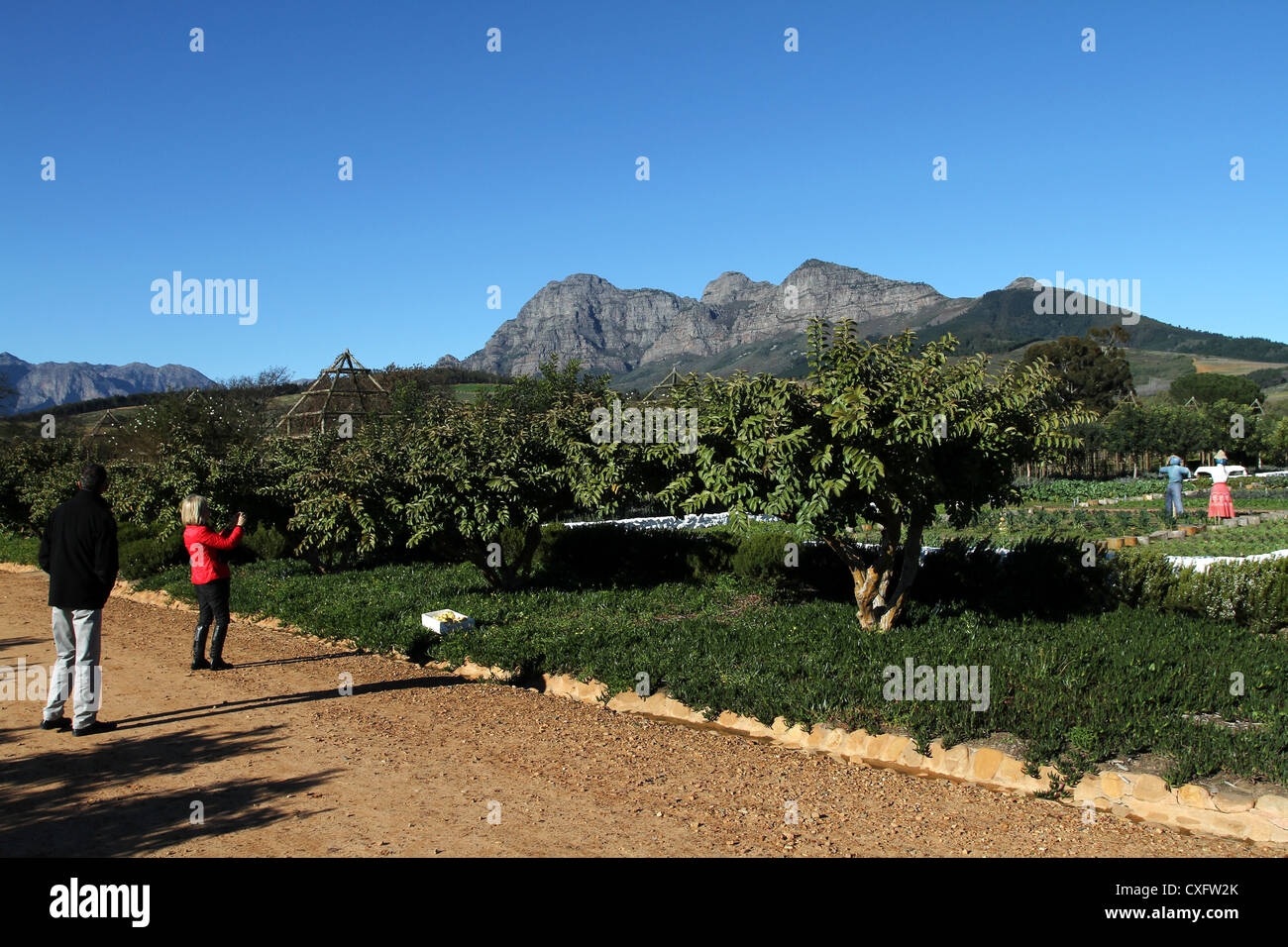 visitors-in-the-famous-garden-at-babylonstoren-wine-farm-franschhoek