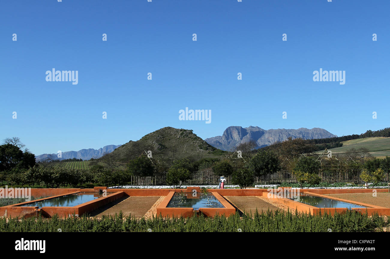 Famous garden, Babylonstoren wine farm, Franschhoek, South Africa Stock Photo