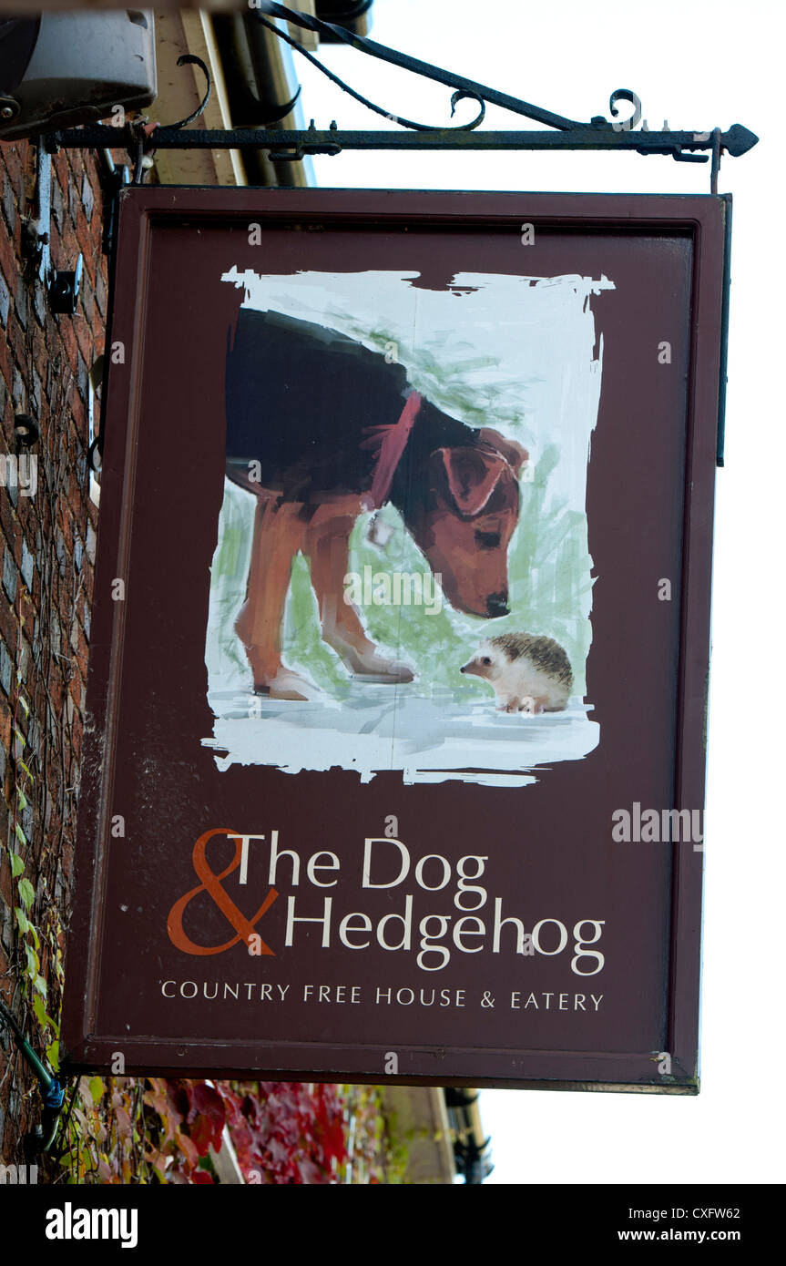 The Dog and Hedgehog pub sign, Dadlington, Leicestershire, UK Stock Photo