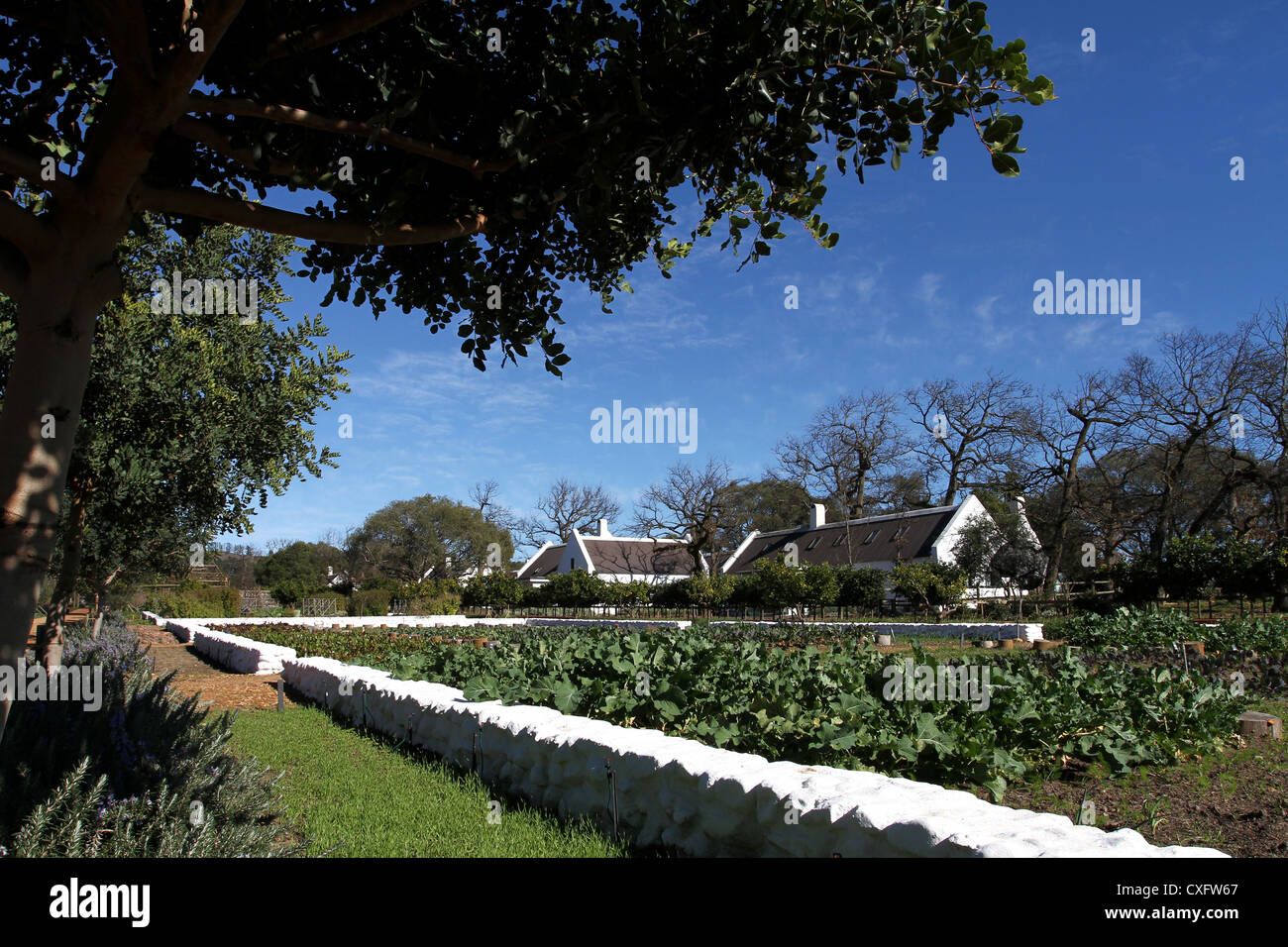 Farm hotel rooms seen from the famous garden at Babylonstoren wine farm, Franschhoek, South Africa Stock Photo