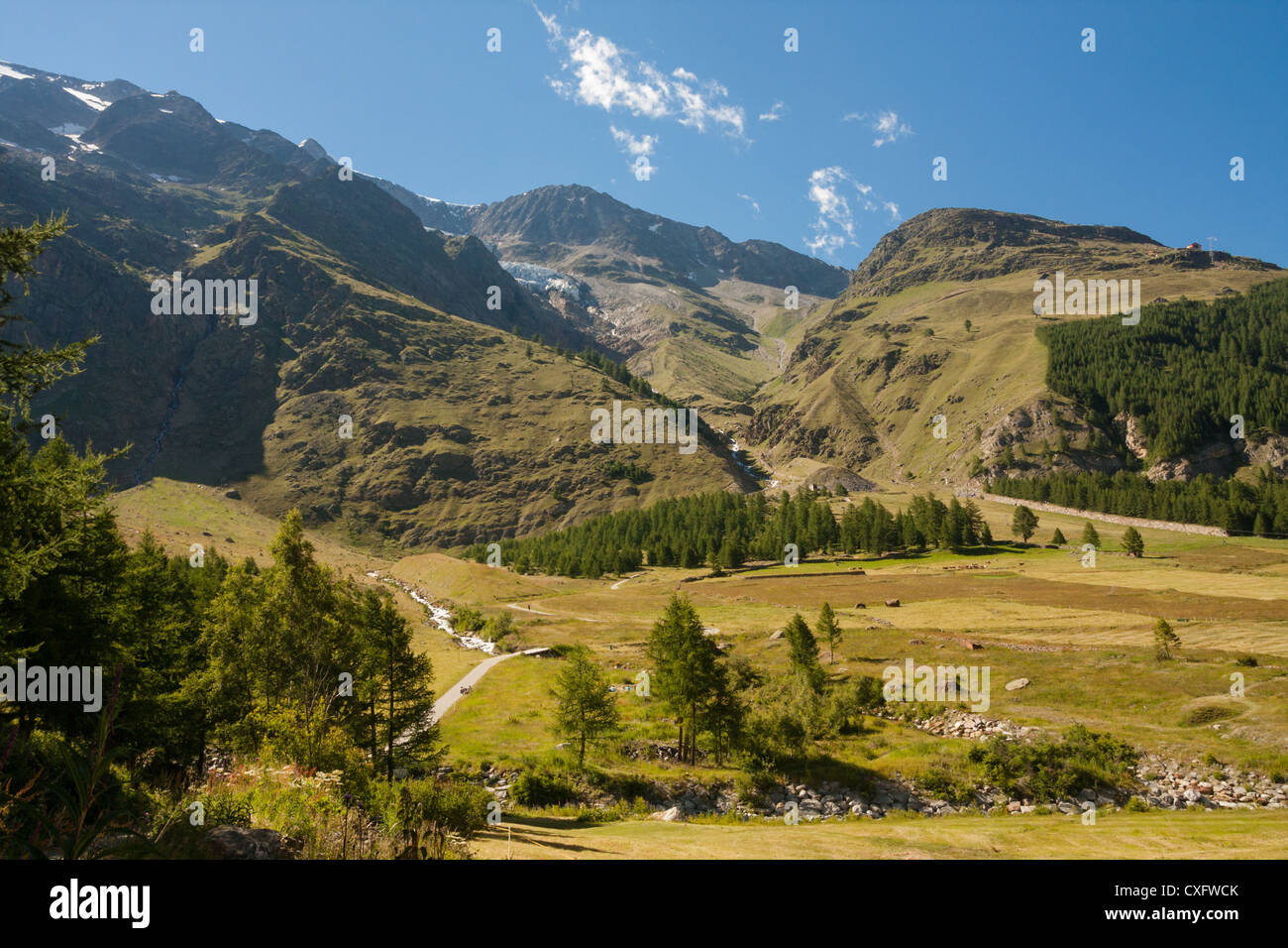 Saas Fee's alpine meadows at the base of it's 4000 metre peaks in the Alps. Stock Photo