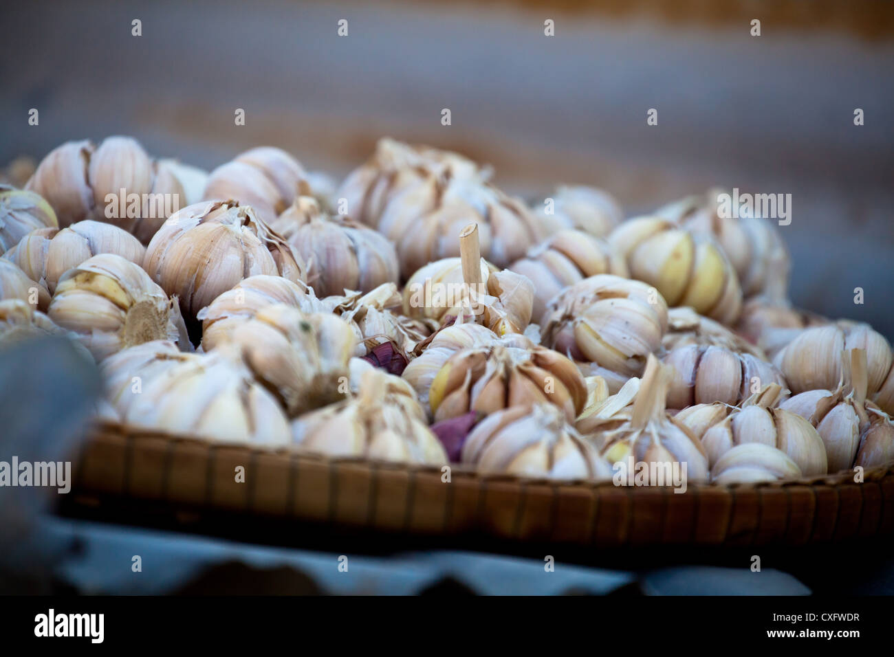 Garlic on a Market at Rawai Beach on Phuket Stock Photo