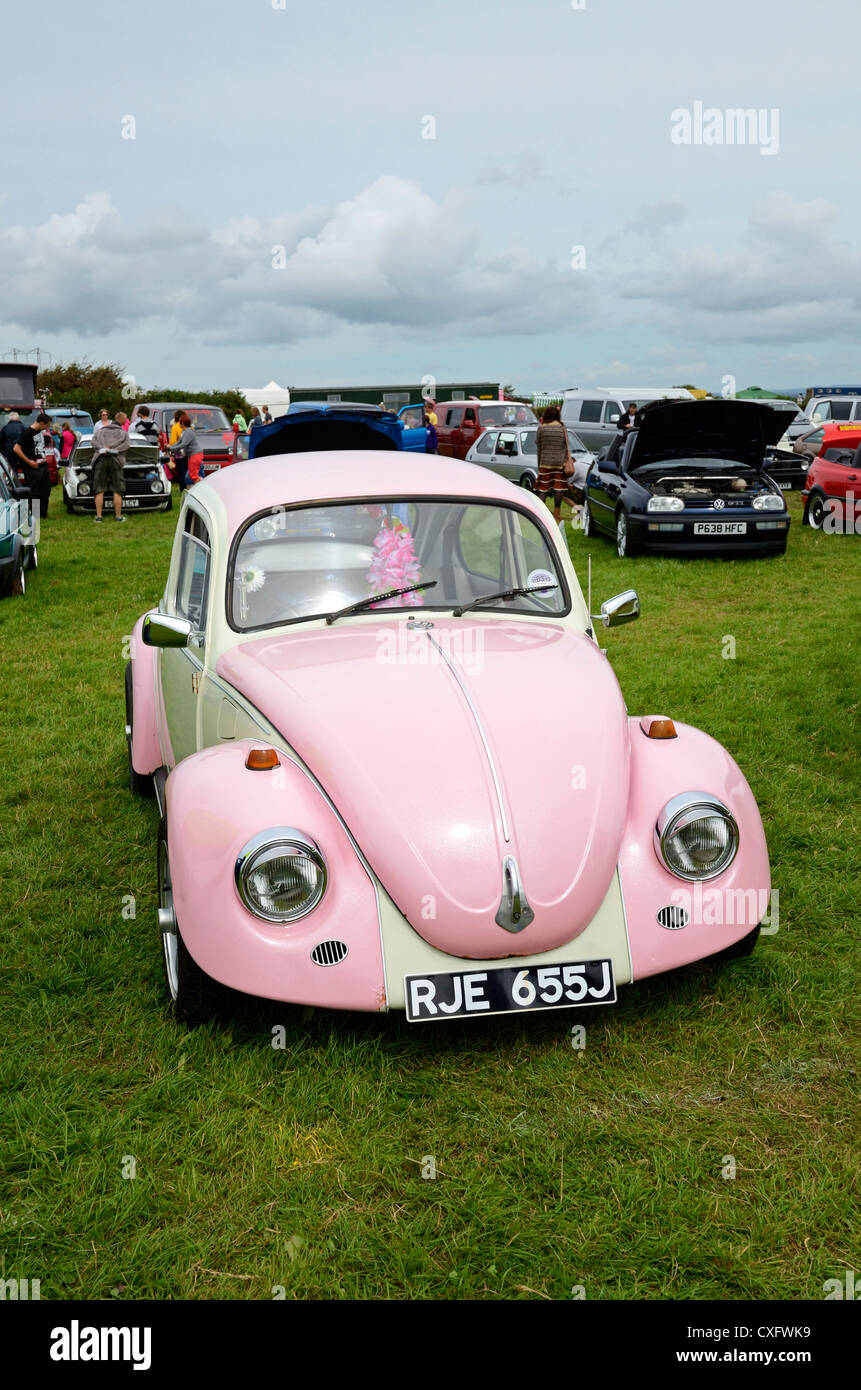 Light Pink Volkswagen Beetle Light Pink Volkswagen Beetle