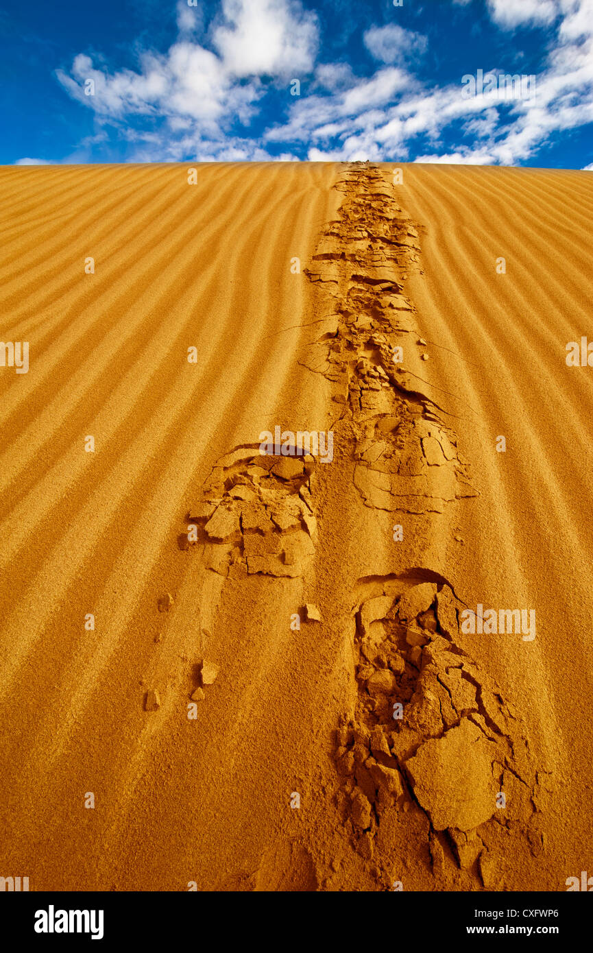 Lonely footprints on desert sand dune under blue sky Stock Photo