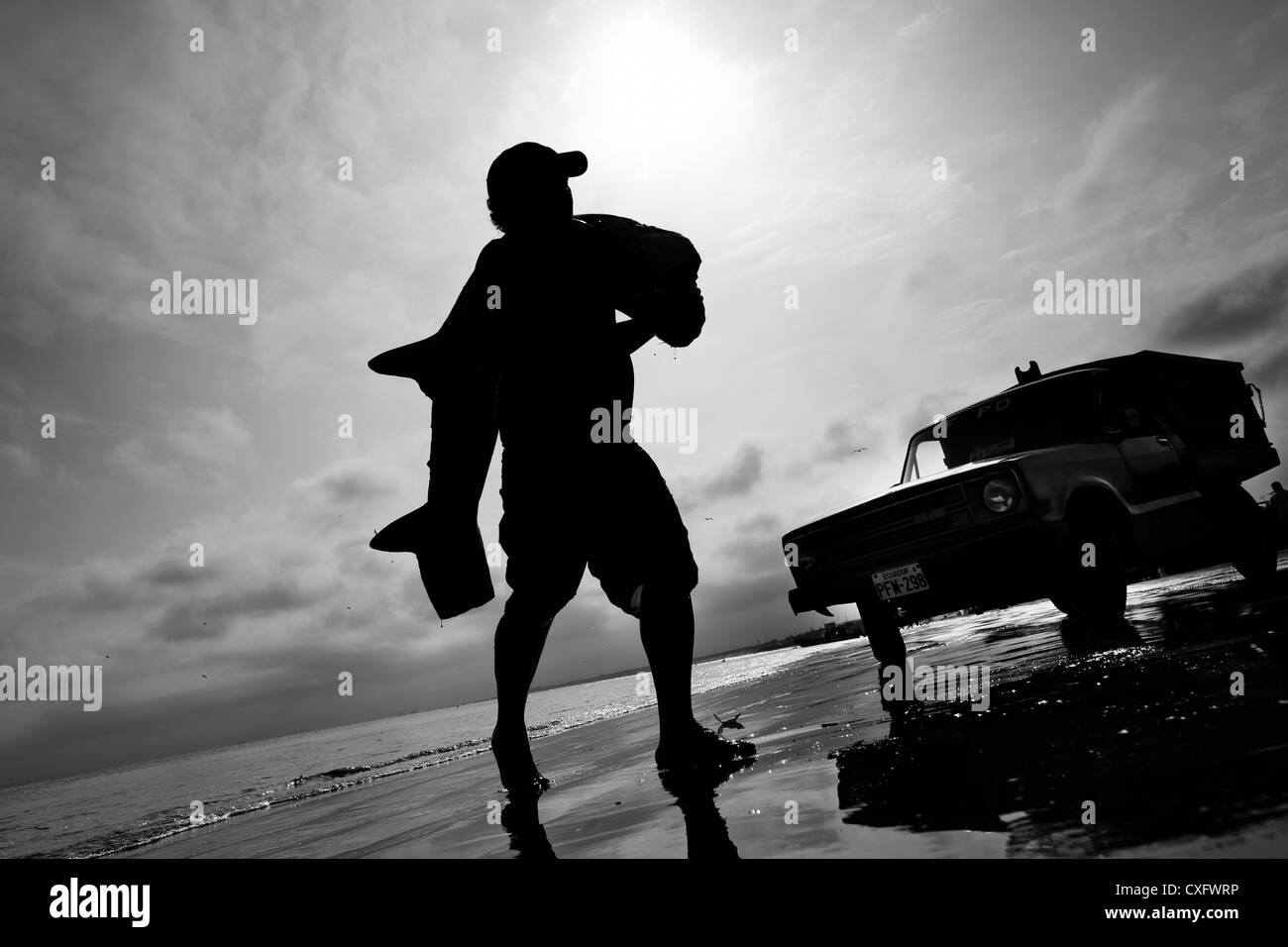 A fisherman carries a dead shark body at dawn on the beach of Manta, Ecuador. Stock Photo