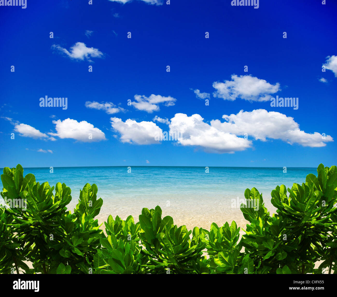 beautiful beach and tropical sea Stock Photo - Alamy