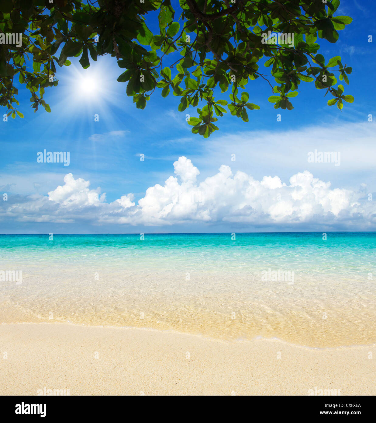 beautiful beach and tropical sea Stock Photo - Alamy
