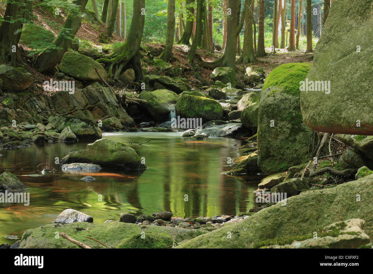 Mountain stream 'Ilse' in the Harz National Park, in Saxony-Anhalt / Germany Stock Photo