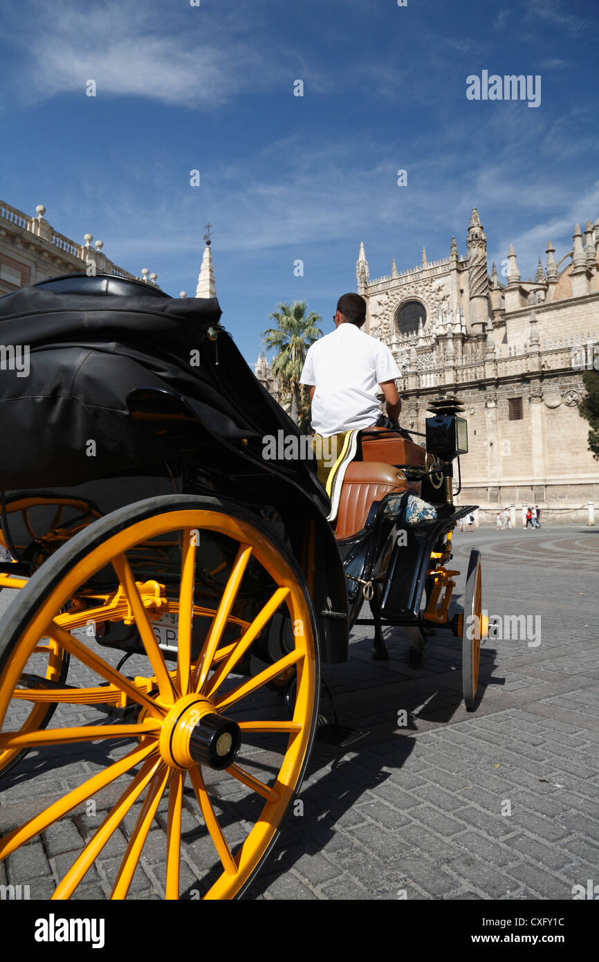 Horse-drawn carriage in the Plaza Virgen de los Reyes by Seville Cathedral Spain Stock Photo