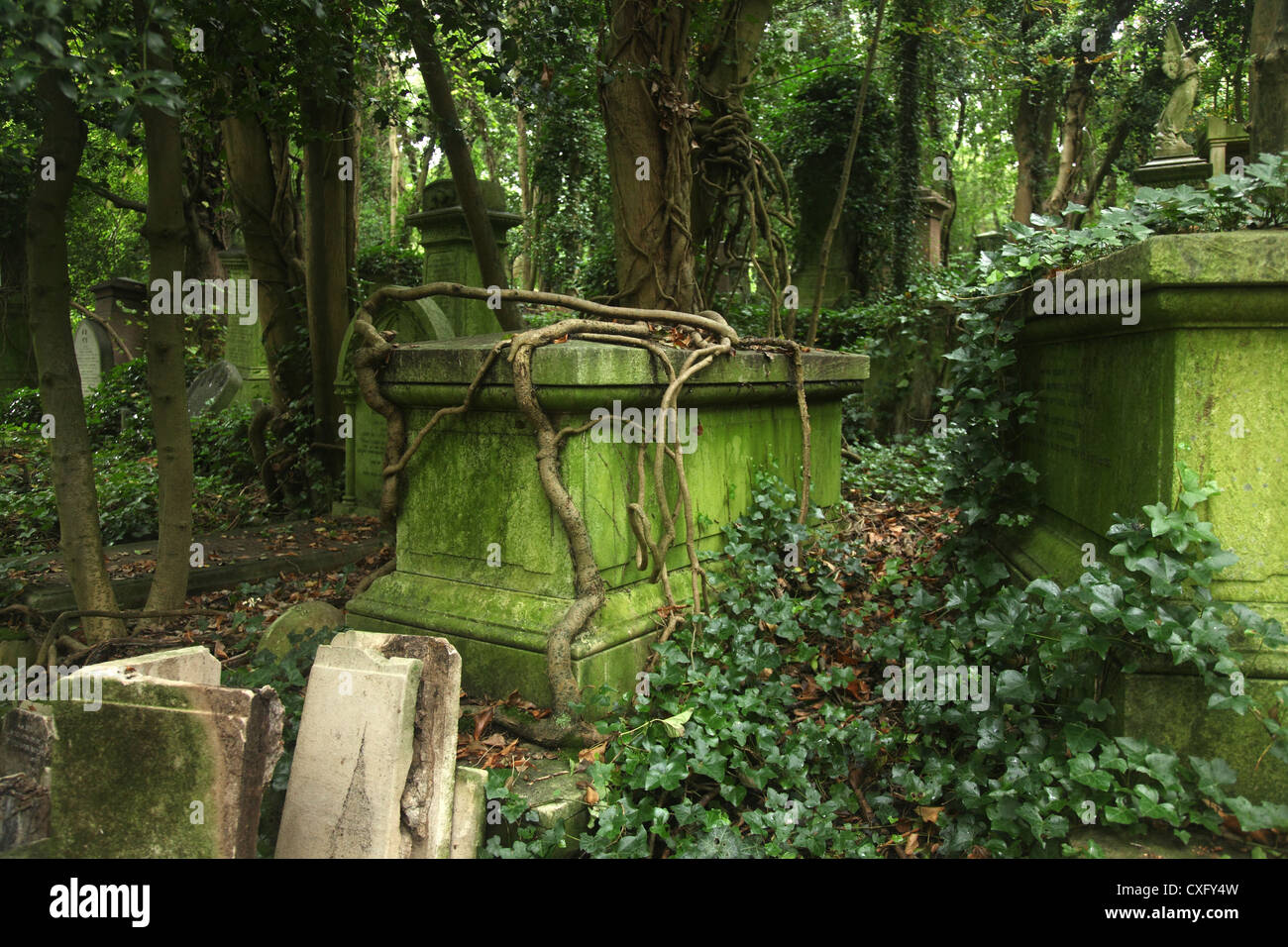 The Highgate West Cemetery in London England Stock Photo