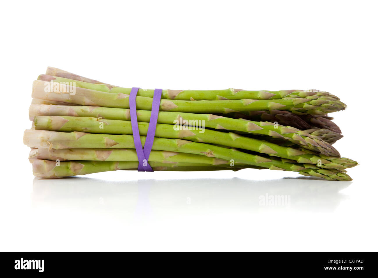 Stalk of asparagus Stock Photo Alamy