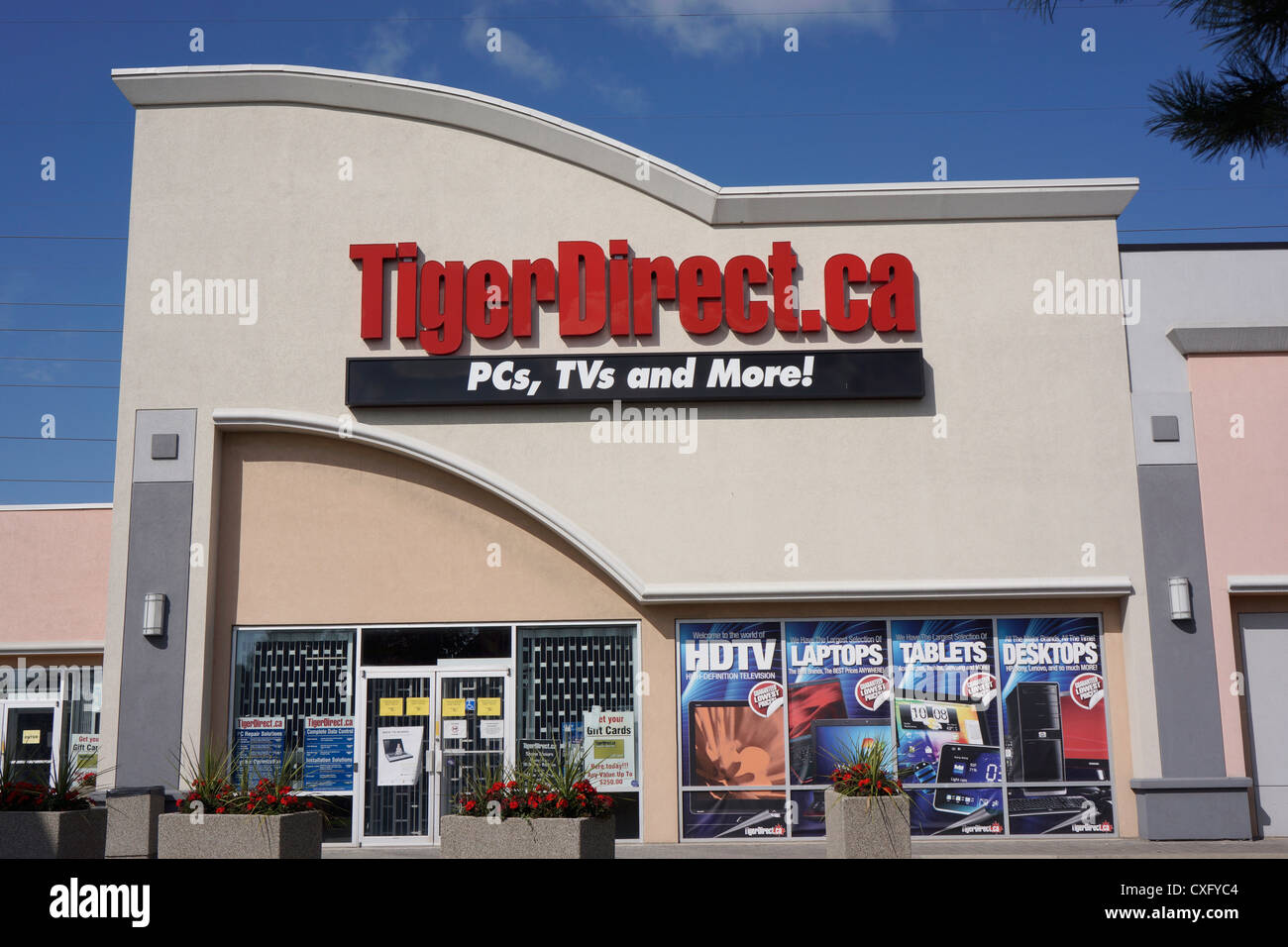 Tiger electronics logo hi-res stock photography and images - Alamy