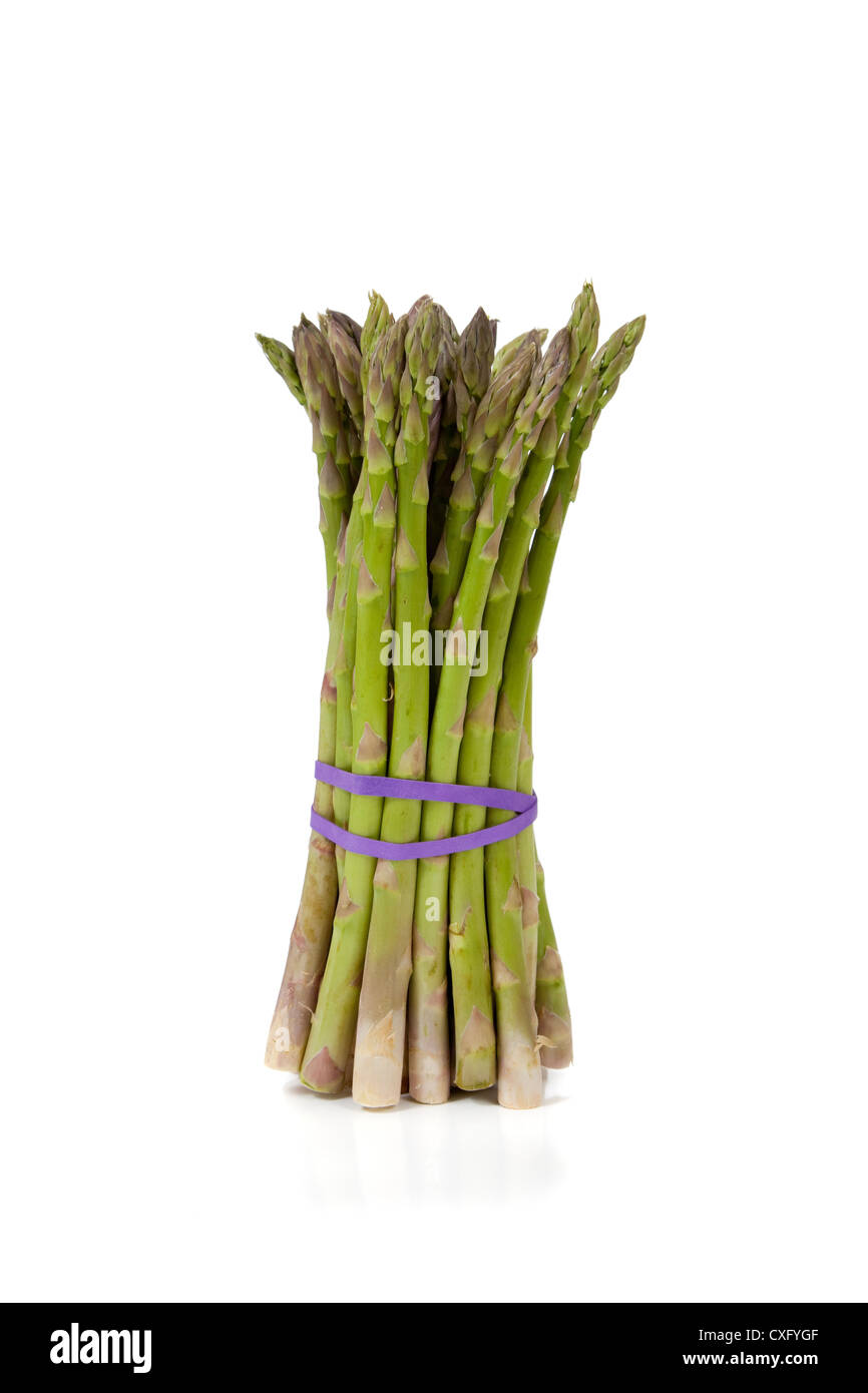 Stalk of asparagus Stock Photo Alamy