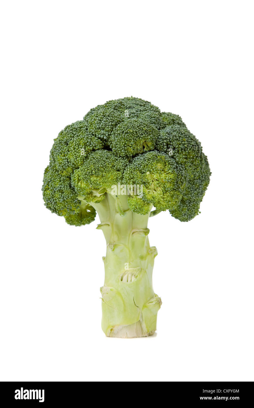 Head of broccoli Stock Photo Alamy