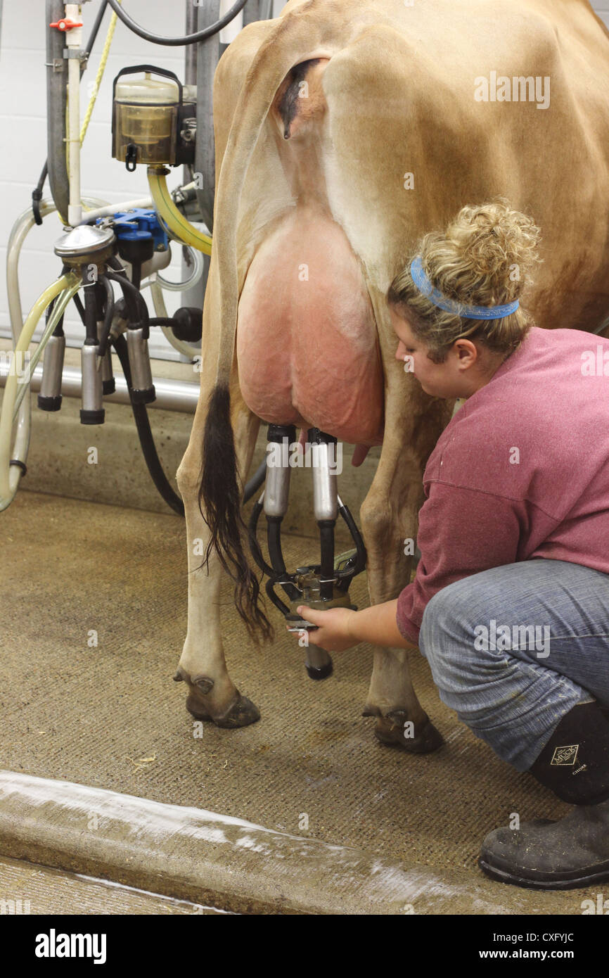 Woman milked by machine