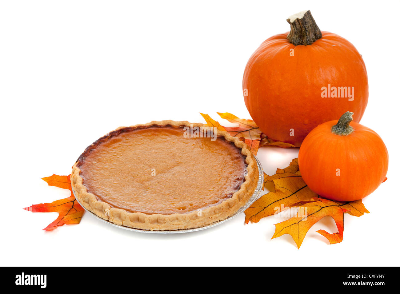 Pumpkin pie with leaves and pumpkins Stock Photo