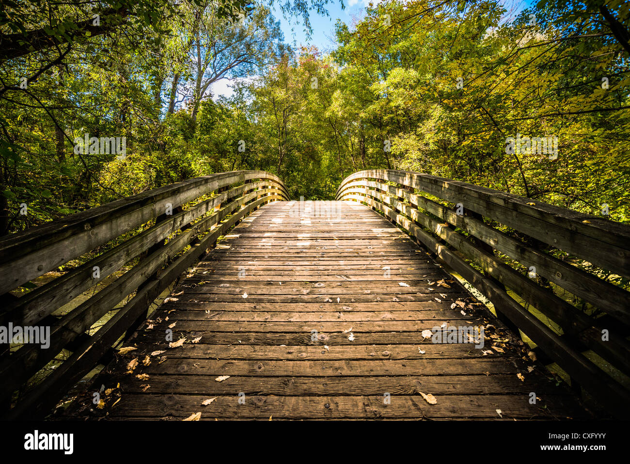 This is a landscape image taken in the fall Stock Photo - Alamy