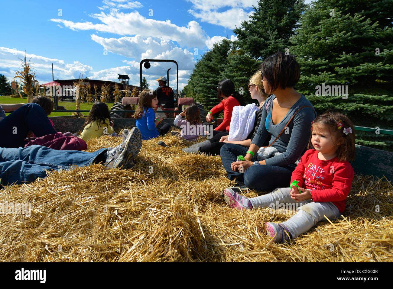 Hayride hires stock photography and images Alamy